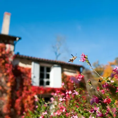 Domaine Des Tilleuls Hébergement de vacances